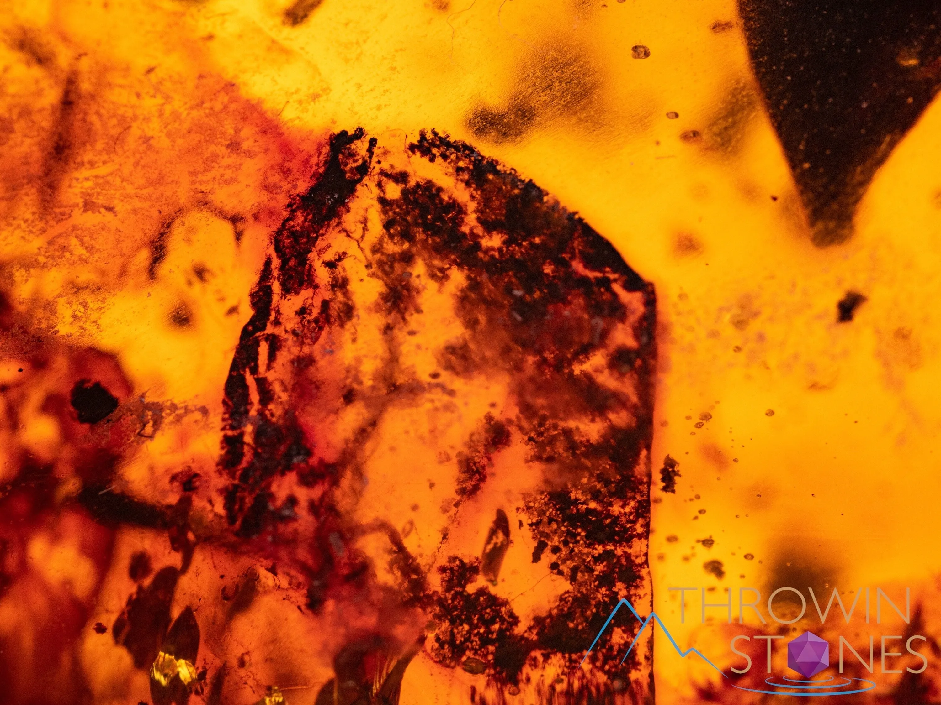 AMBER Stone - Insect Inclusion, Real Fossil - Tumbled Stones, Tumbled Crystals, Healing Crystals and Stones, 52716