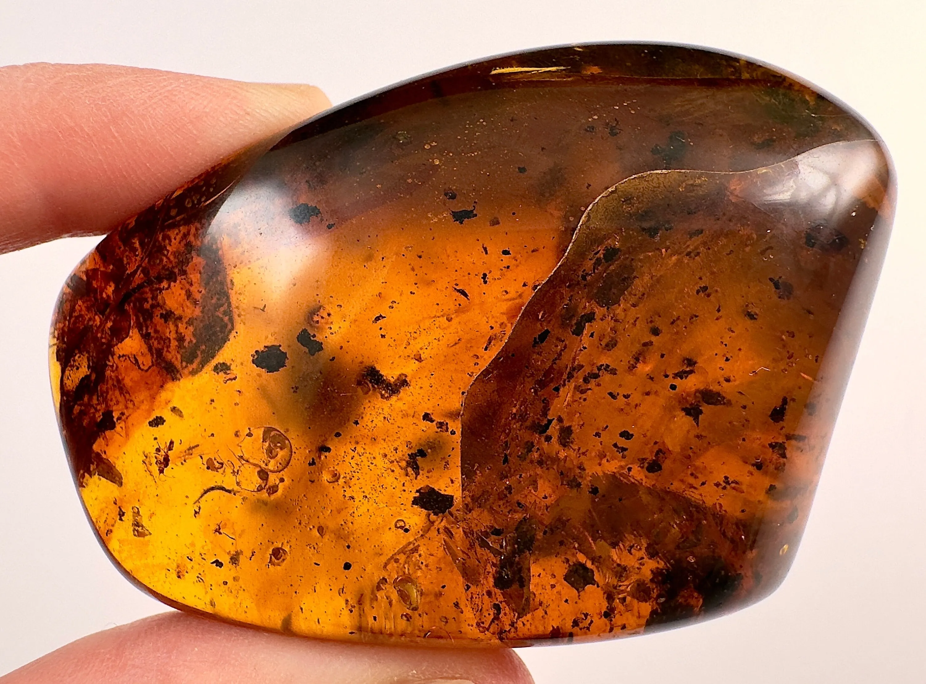 AMBER Stone - Insect Inclusion, Real Fossil - Tumbled Stones, Tumbled Crystals, Healing Crystals and Stones, 52716