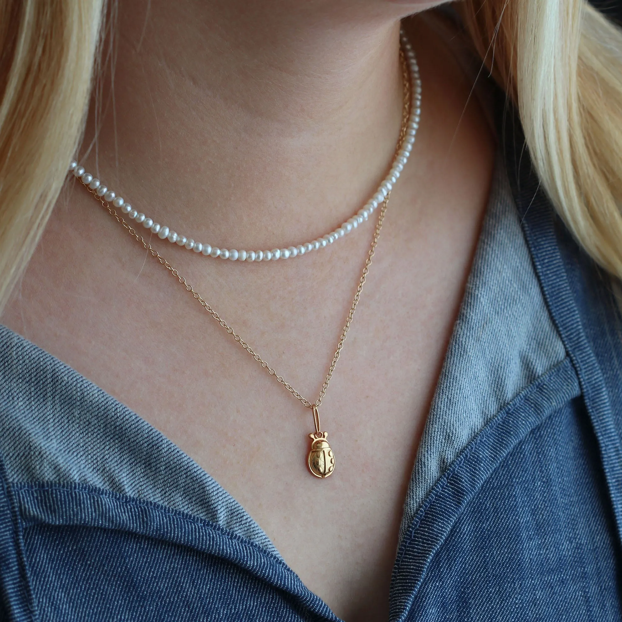 Ladybug Charm