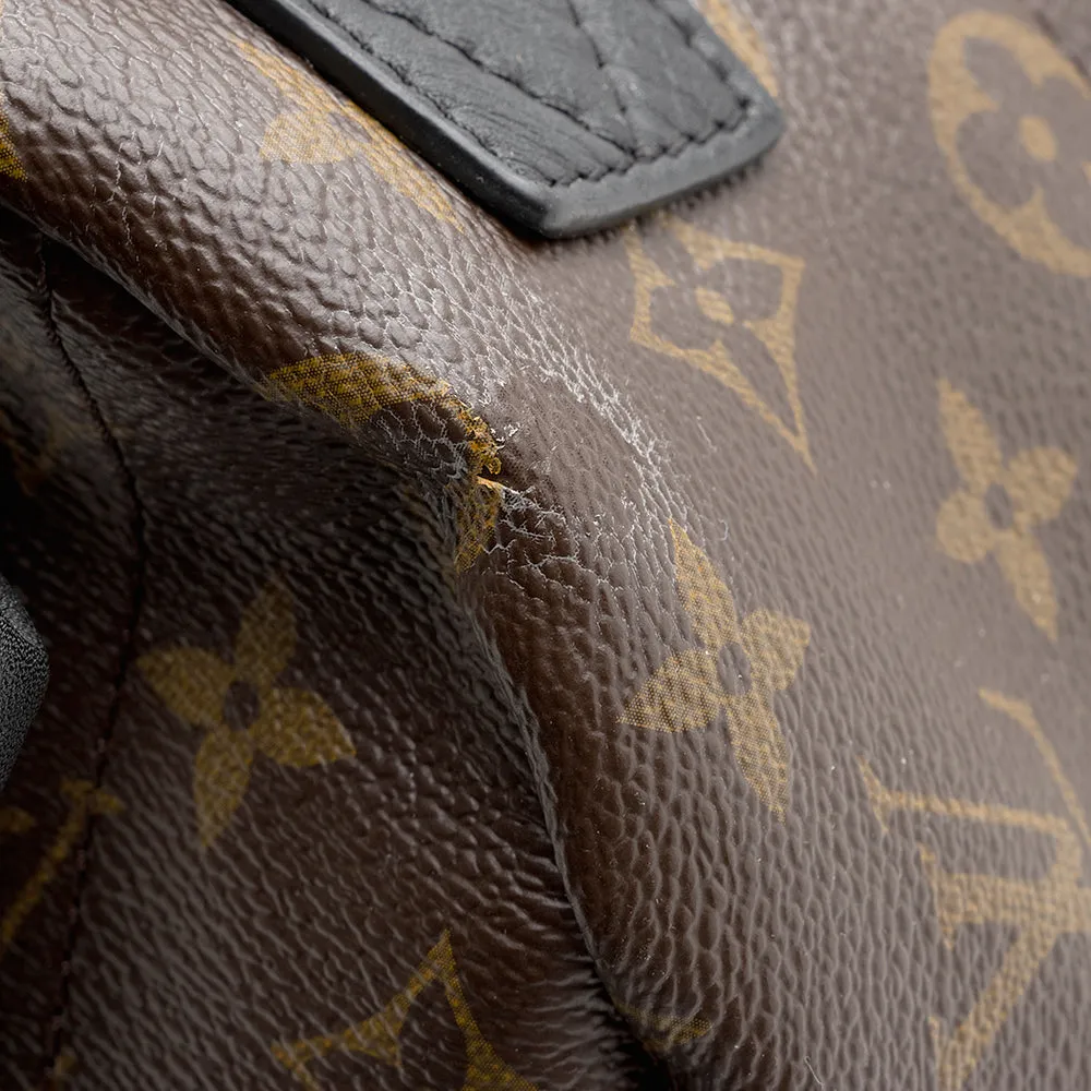 Louis Vuitton Monogram Canvas Palm Springs PM Backpack (SHF-20978)