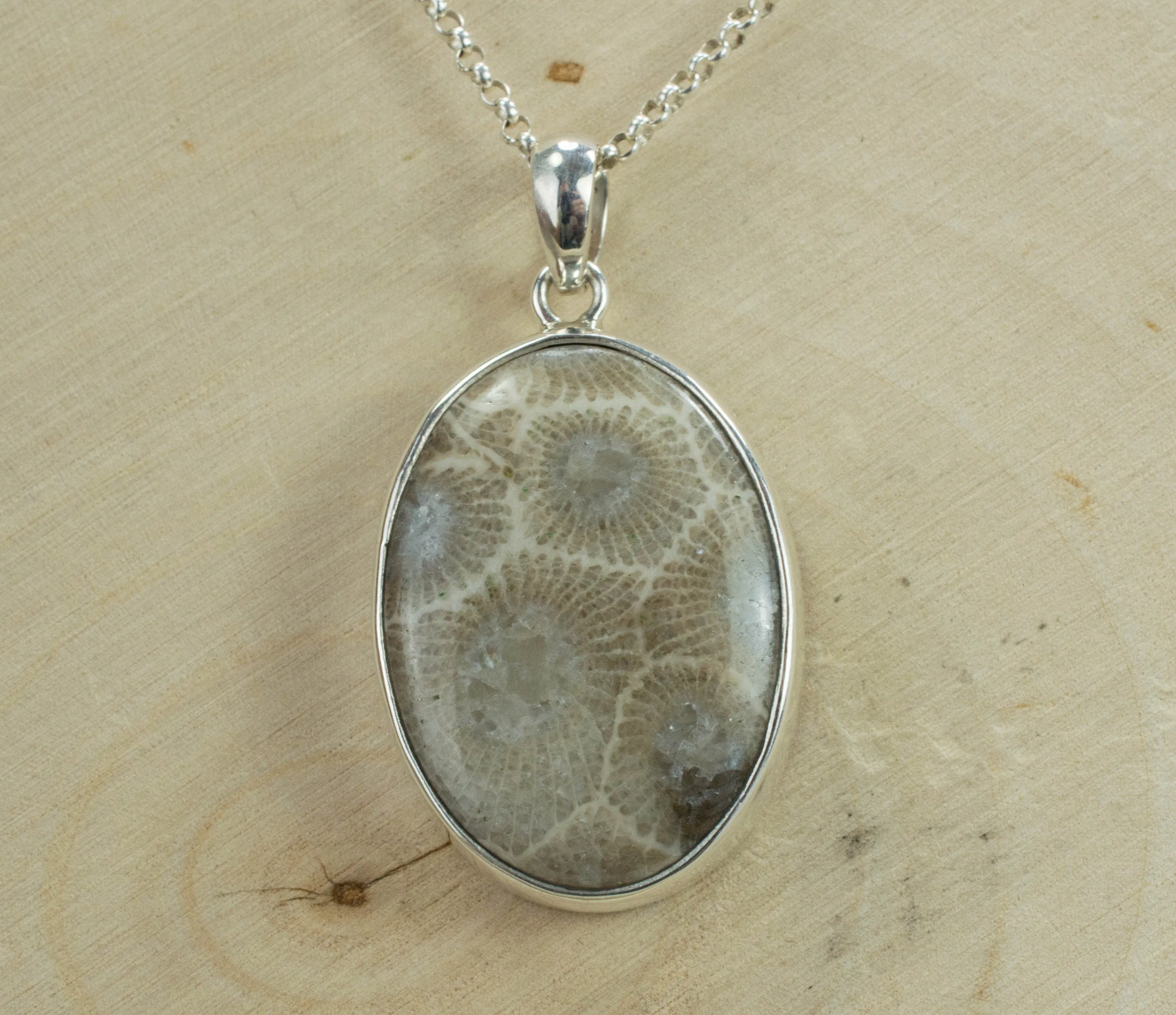 Petoskey Stone Sterling Silver Pendant; Genuine Untreated Michigan Fossil Coral; Petoskey Stone